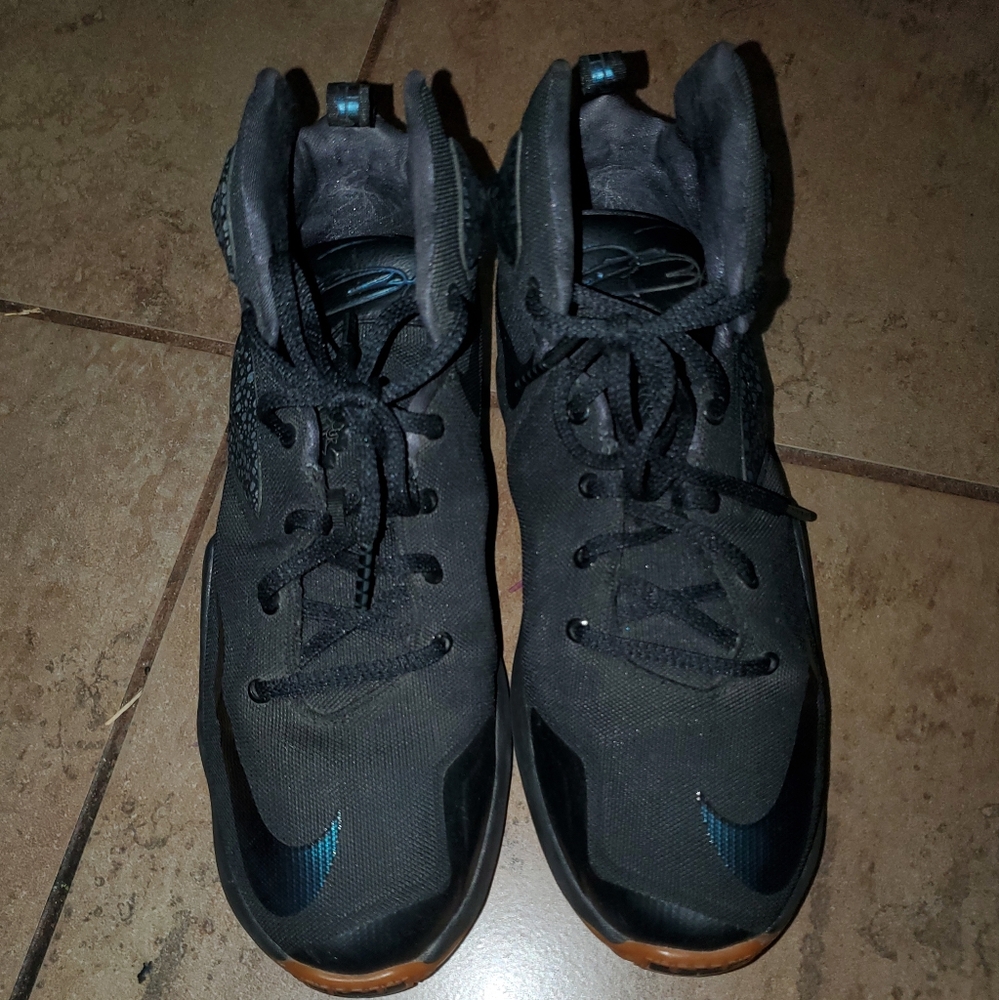 Nike lebron james 13 Black Lion